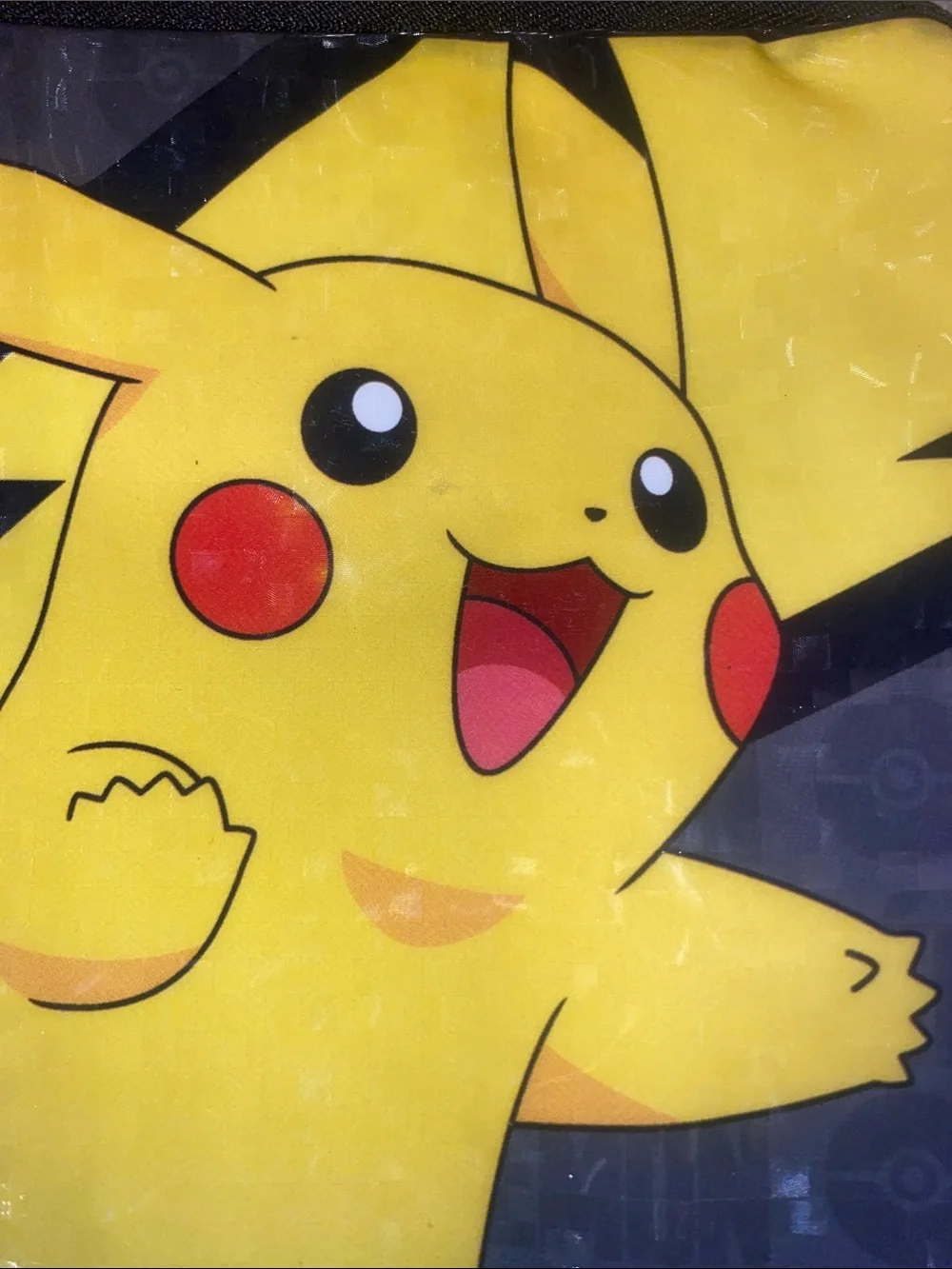 Pokemon Pikachu Black and Yellow Gaming Carry Case
